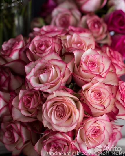 Розы с доставкой