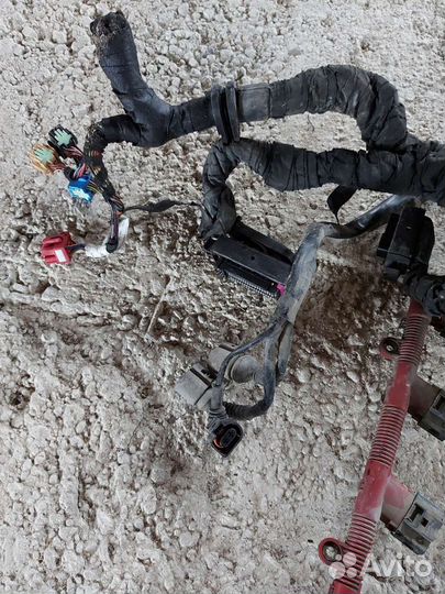 Проводка Моторная Audi A8 D3