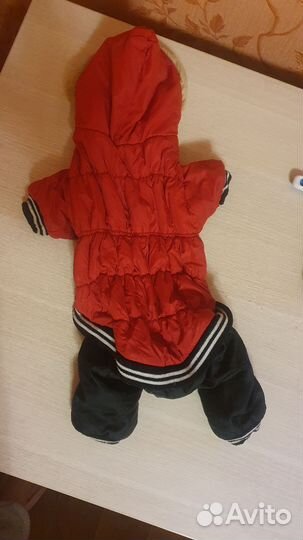 Зимний костюм для собак