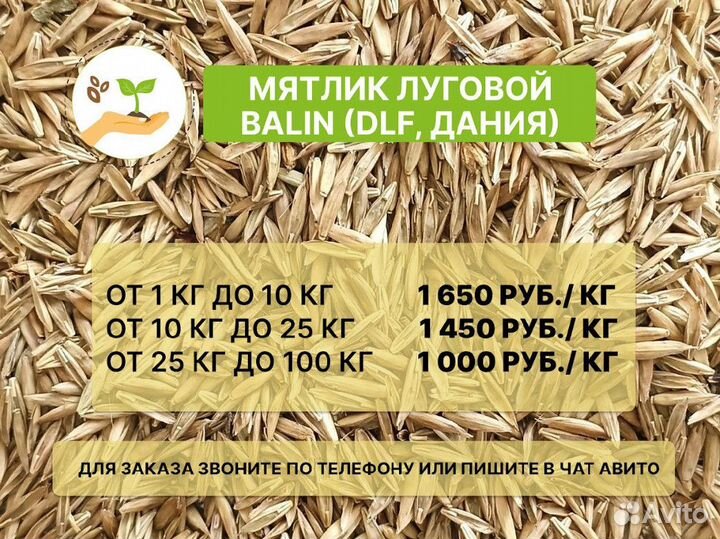 Семена мятлик луговой для газона