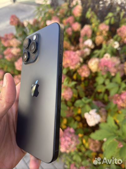 iPhone 15 Pro Max, 256 ГБ