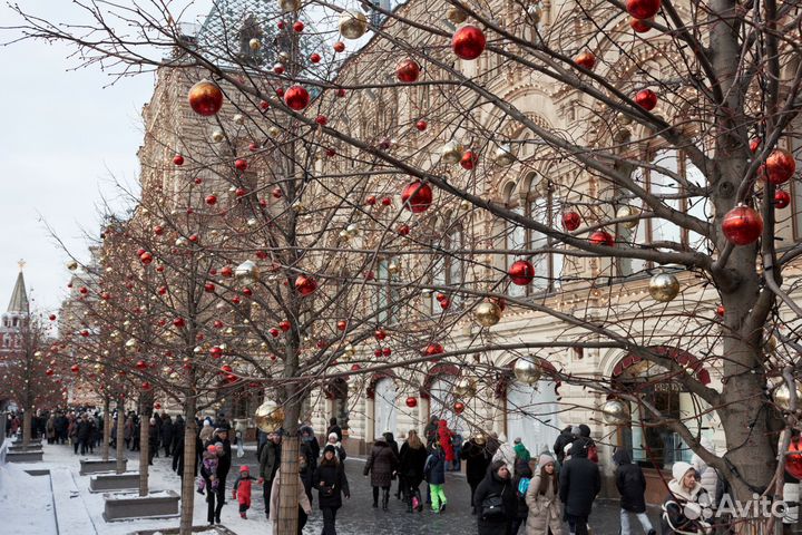 Canon 100d + 24mm 2.8 stm (комплект)