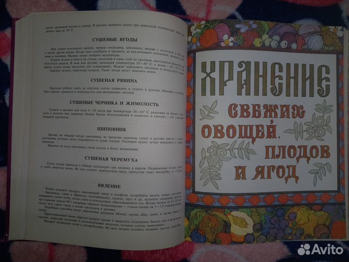 Русский дом. Книга для хозяйки и хозяина