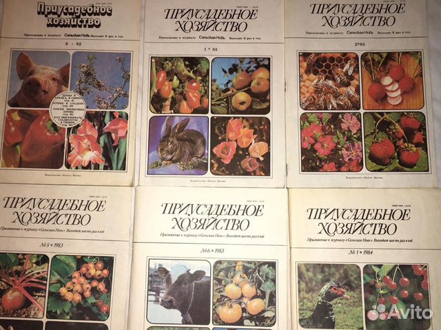 п2566 подсобное хозяйство журнал. сайт журнала хозяйство. название приусадебное хозяйство. приусадебное хозяйство журнал. приусадебное хозяйство журнал 2021.