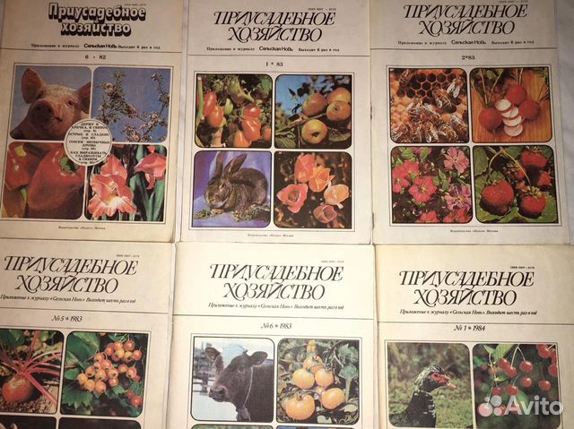 Журнал хозяйство. Приусадебное хозяйство 1982. Журнал Приусадебное хозяйство в СССР. Журнал Приусадебное хозяйство за 1982. Приусадебное хозяйство журнал СССР читать огурцы.