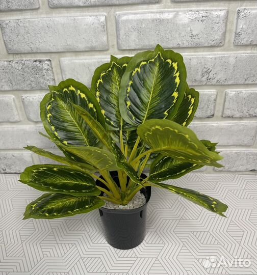 Искусственные растения 3 шт