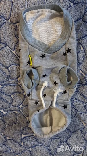 Одежда для маленьких пород собак