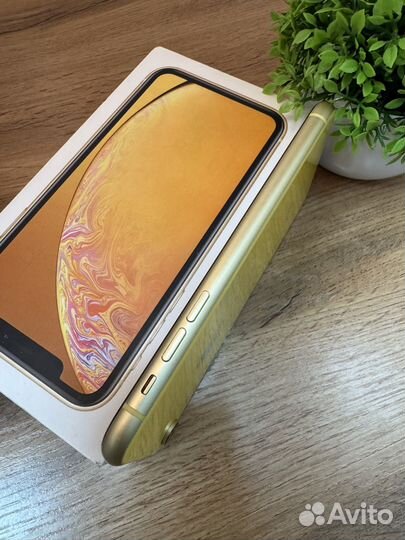 iPhone Xr, 128 ГБ