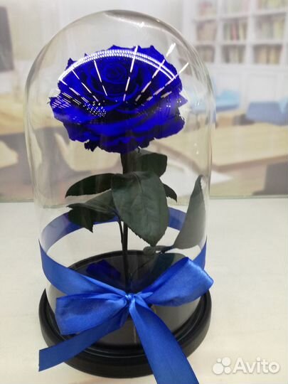 Розы в колбе, цветы в вакууме,подарок к выпускному