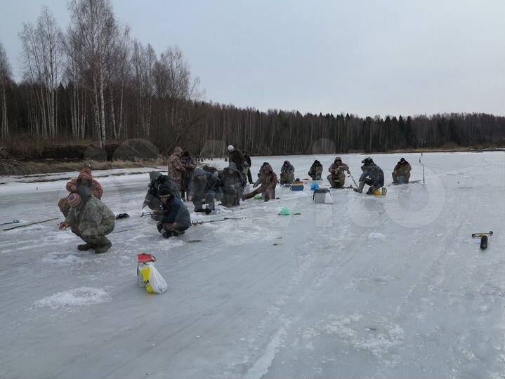 Участок 1,6 га (ИЖС)