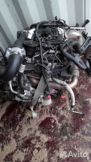 Двигатель VW Touareg NF 3.0 TD Фольксваген Туарег