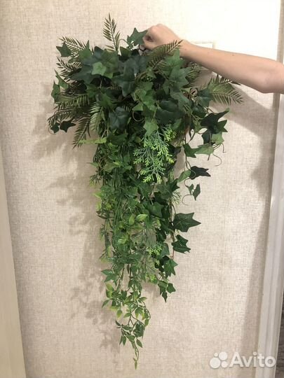 Искусственный самшит ампельный