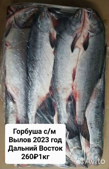 Рыба Горбуша с/м