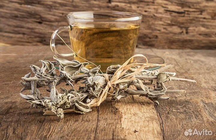 Программа комплексного очищения организма на 1 год