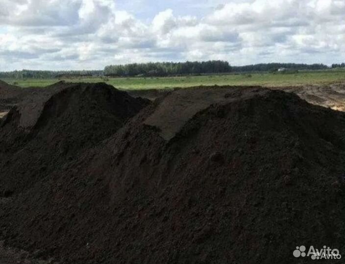 Навоз,чернозём