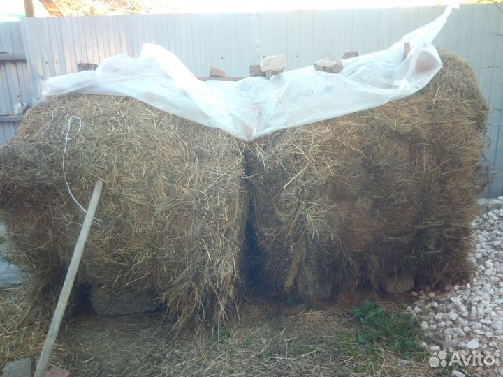Сено в рулонах 350 кг