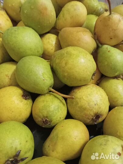 Груши яблоки