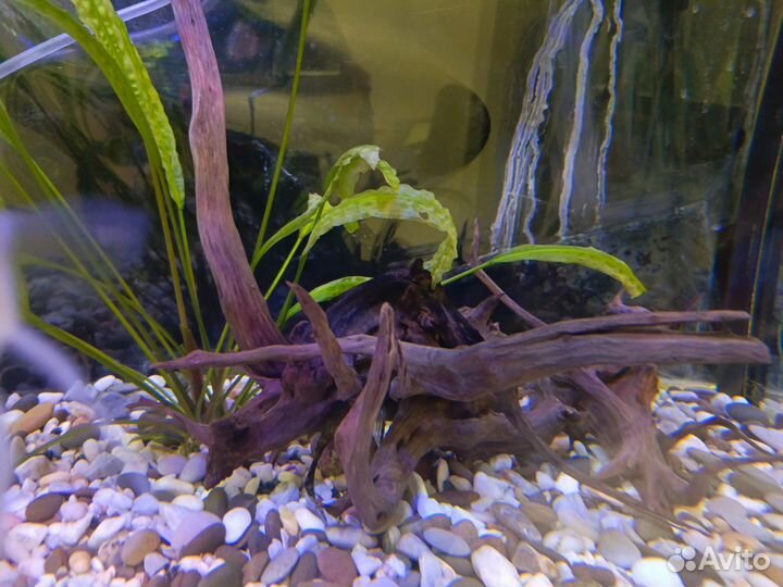 Декор и оборудование для аквариума
