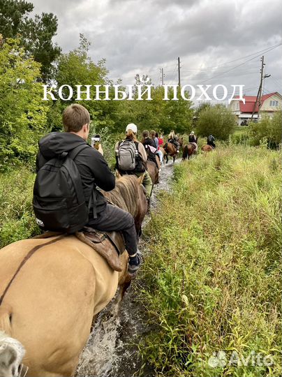 Конный поход (5 часов) на озеро Тальков Камень