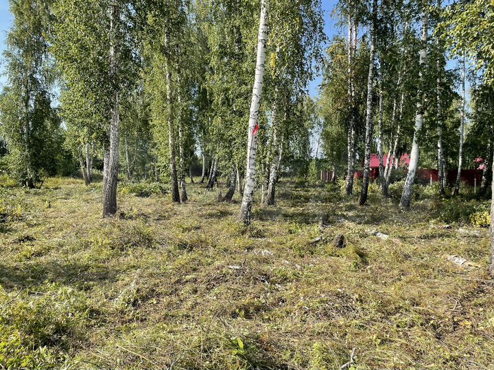 Участок 30 сот. (ИЖС)
