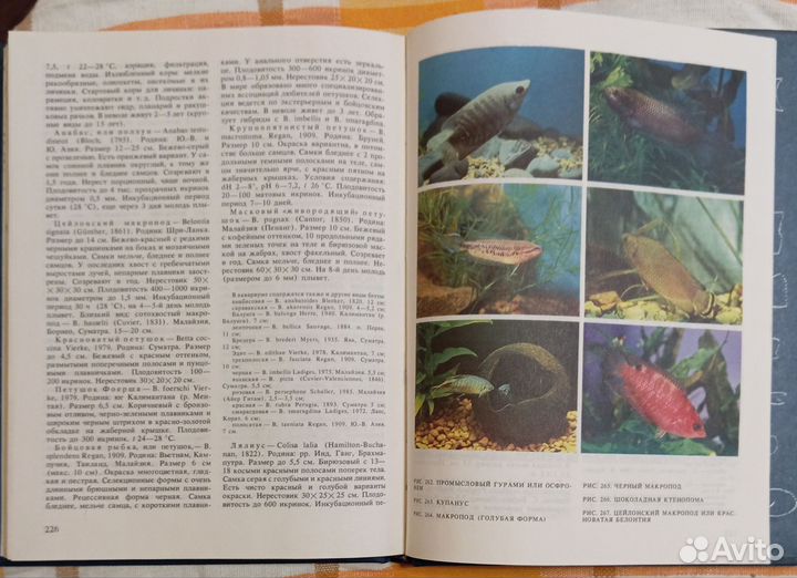 Кочетов А. М. Экзотические рыбы