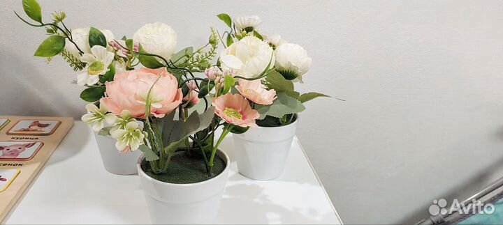 Интерьерные цветы