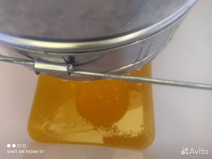 Мед подсолнечный