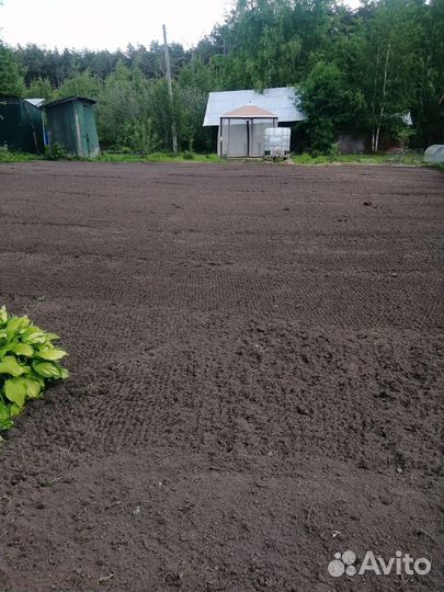 Подготовка посадка газона