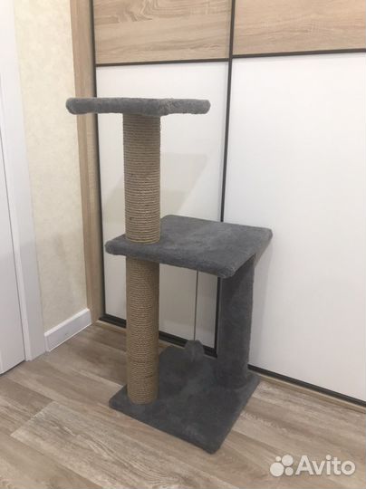 Когтеточка новая