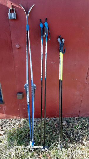 Лыжные палки