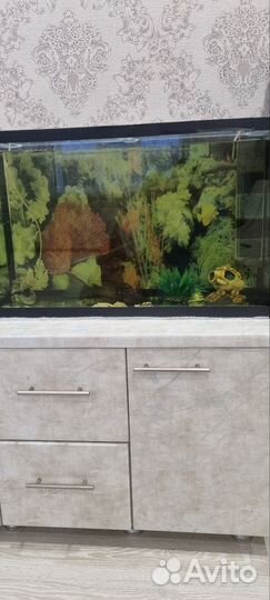 Аквариум с рыбками бу