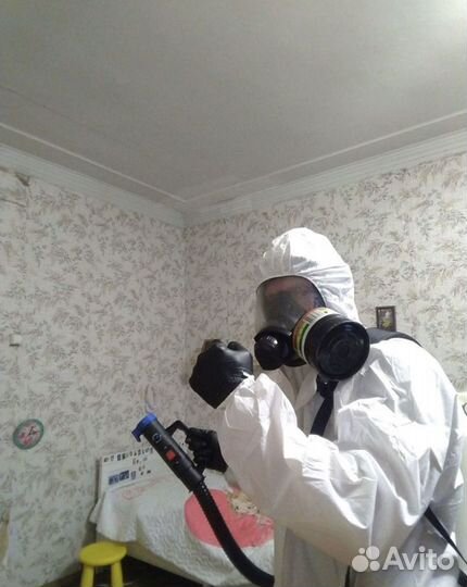 Дезинфекция Уничтожение клопов тараканов мышей