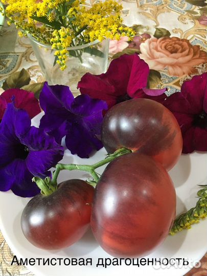 Семена коллекционных томатов