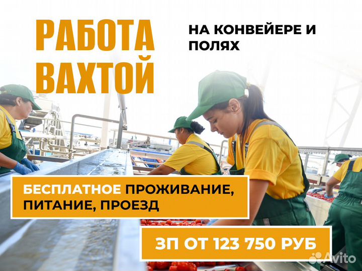 Работа вахтой. Урожай женщины