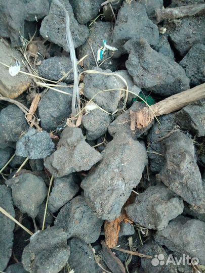 Каменный уголь