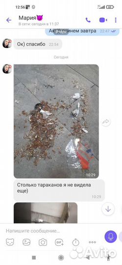 Уничтожение клопов и тараканов. Дезинфекция