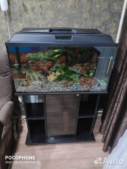 Аквариум