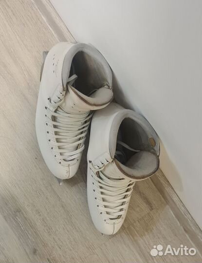 Фигурные коньки edea chorus 245