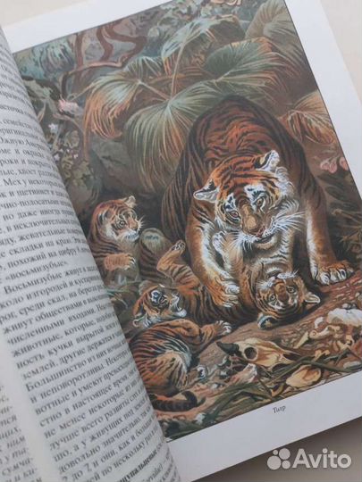 Альфред Брем 