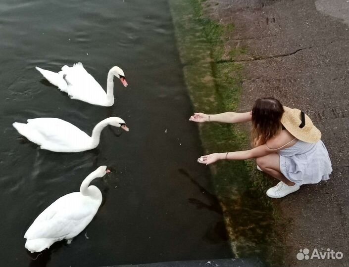 Обзорная экскурсия по Балтийску и Балтийской косе