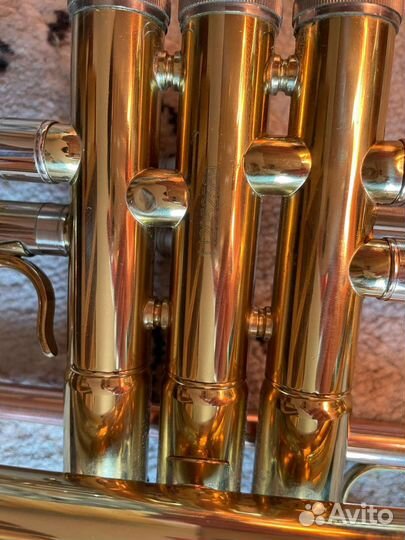 Труба Roy Benson TR 202