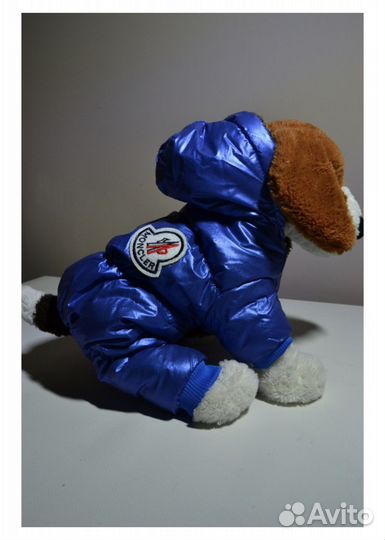 Комбинезон для собак маленьких пород