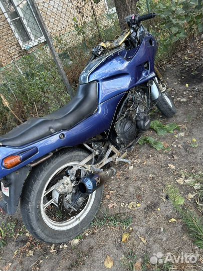 Yamaha250