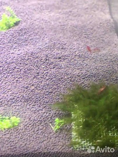 Грунт для аквариума пропант