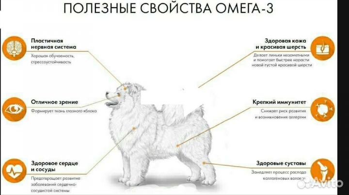 Лососевое масло