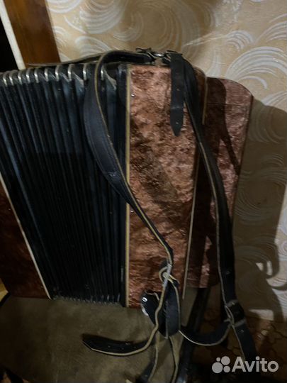 Баян Кировский 3