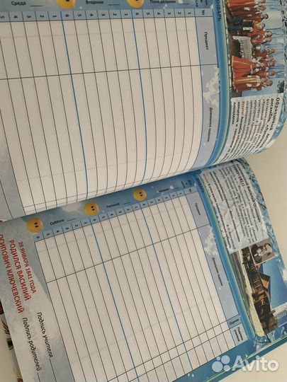 Дневник школьника