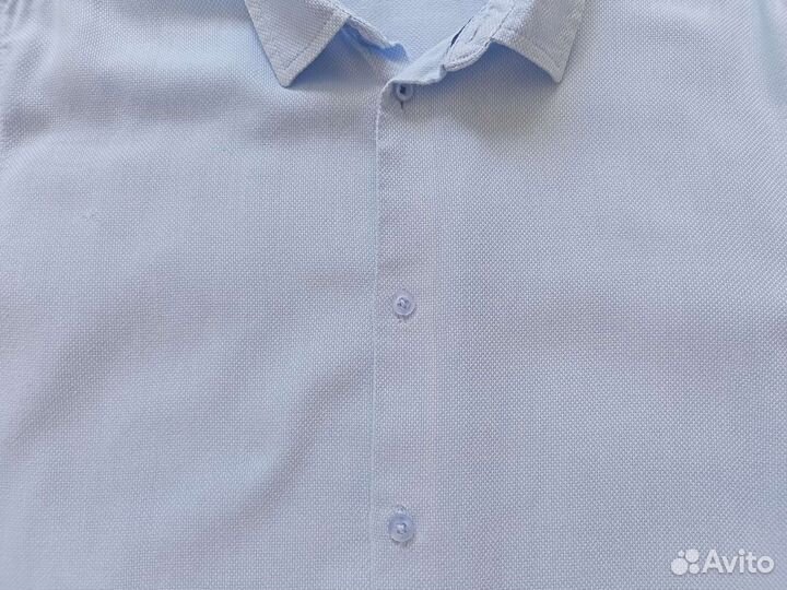 Рубашка школьная на мальчика Акула