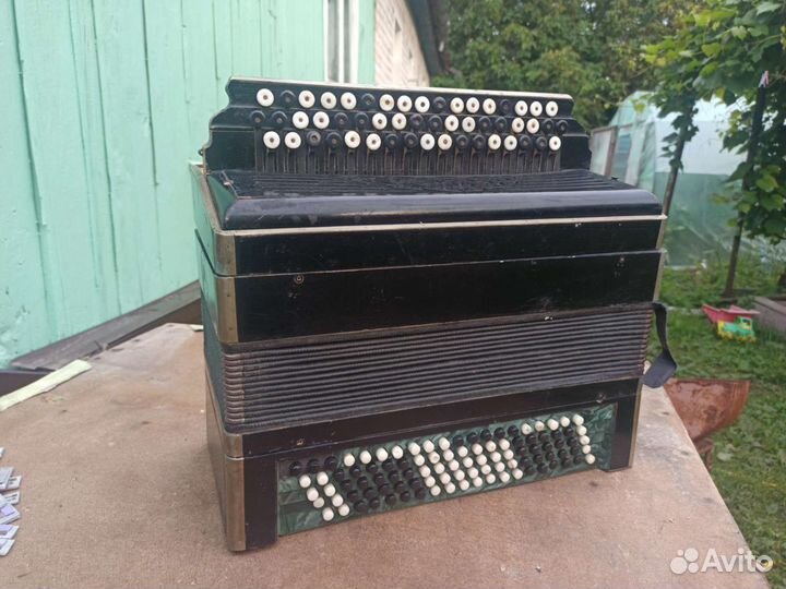 Баян любительский