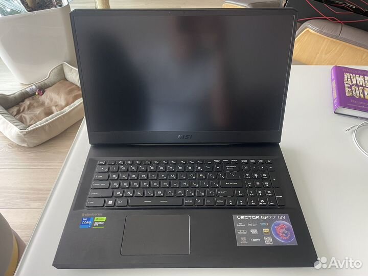 MSI vector GP77 13VG-065XRU